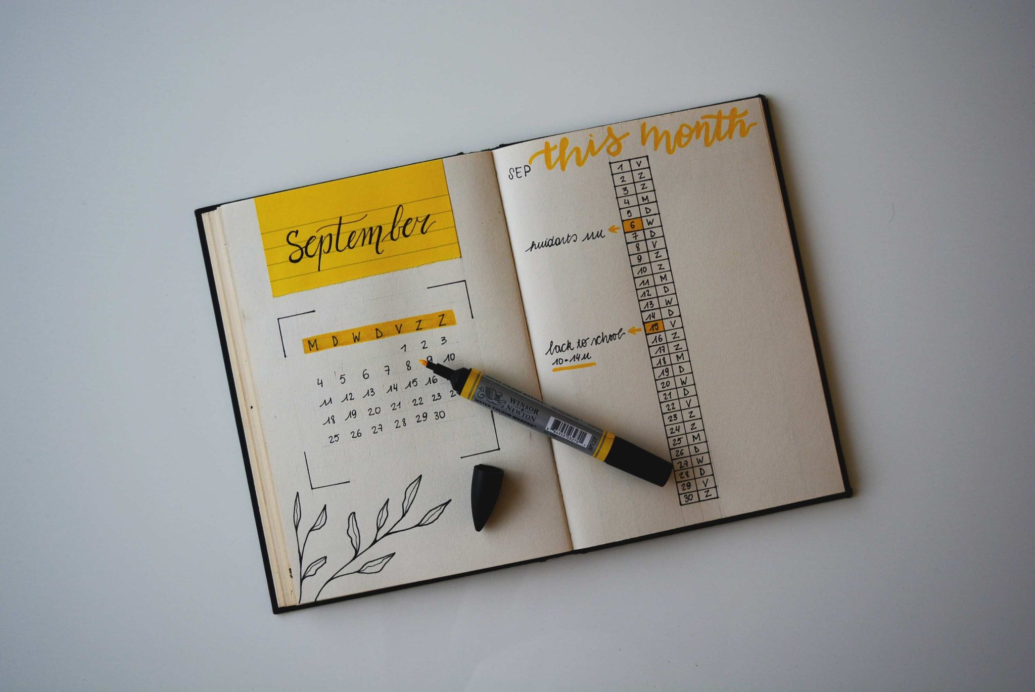 Bullet Journal for School:      5 Reasons Why You Should Start One