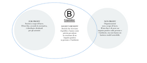 B- CORP - Companies to cheer for | Sustainability beyond profit
